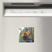 Borneo Wildlife Magneet (Insitu (Vaatwasser))