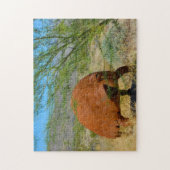 Borrego Springs California. Legpuzzel (Verticaal)