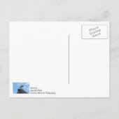 Borromeo Cross 1791 Briefkaart (Achterkant)