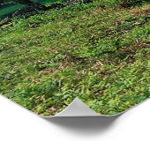 Borrowdale van High Doat, Cumbria bij Cornish Poster (Hoek)