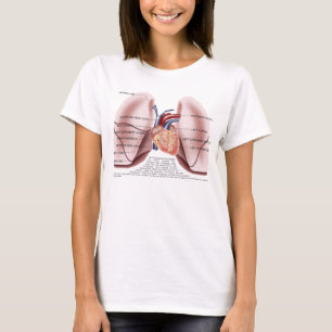 Borstanatomie dames baby doll shirt
