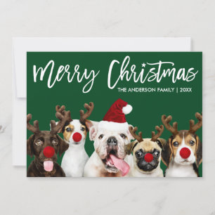 Borstel Script Star Merry Christmas Dogs Groen Feestdagenkaart