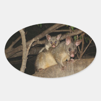Borstelstaart Possums Ovale Sticker