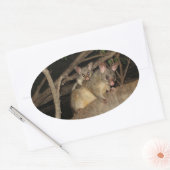 Borstelstaart Possums Ovale Sticker (Envelop)
