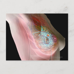 Borstkanker Briefkaart