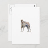 Borzoi Briefkaart (Voorkant / Achterkant)