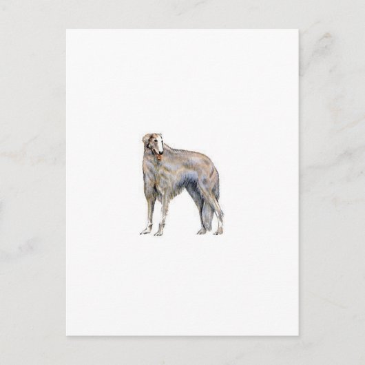 Borzoi Briefkaart (Voorkant)