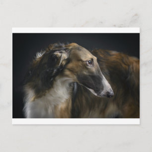 borzoi briefkaart