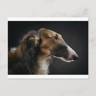 borzoi briefkaart