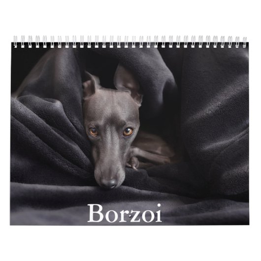Borzoi hondenkalender kalender (Hoes)
