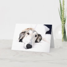 Borzoi liefde