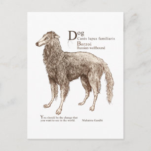 Borzoi - noten briefkaart