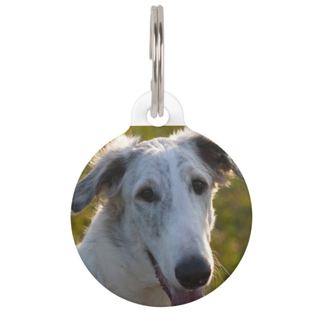 Borzoi Russian Wolfhound Dog. Huisdierpenning (Voorkant)