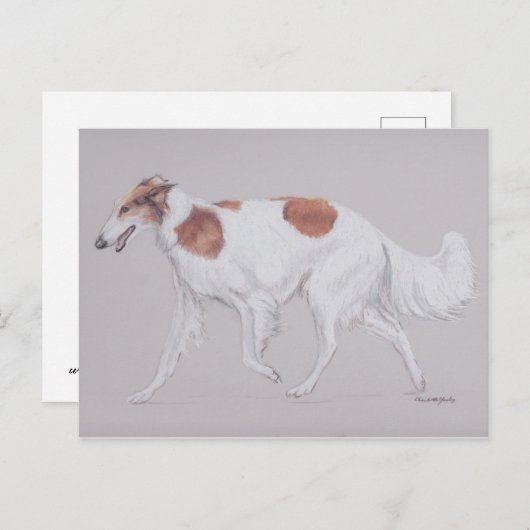 Borzoi Russie Wolfhound Canine Art carte postale (Devant / Derrière)
