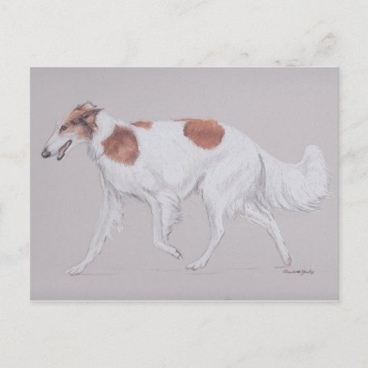 Borzoi Russie Wolfhound Canine Art carte postale (Devant)