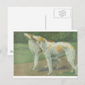Borzoi (Russische wolfshond) Briefkaart (Voorkant / Achterkant)