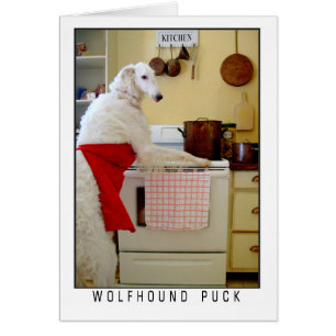Borzoi Russische Wolfshond "Wolfshond Puck" Hond