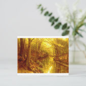 bos-afbeeldingen-8 briefkaart (Staand voorkant)