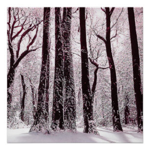 BOS BESCHREVEN BESNEUWDE WINTERLANDSCHAP PERFECT POSTER