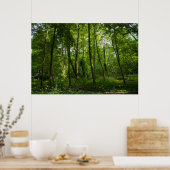 Bos. Blackweir Bossen, Bute Park, Cardiff Poster (Keuken)