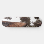 bos, boom skateboard (Horizontaal)