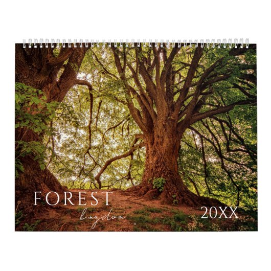 Bos Bossen Landschap Vier seizoenen Kalender (Hoes)