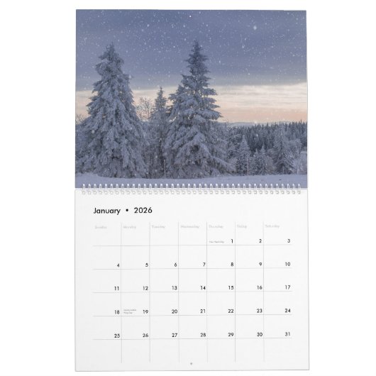 Bos Bossen Landschap Vier seizoenen Kalender (Jan 2026)