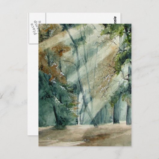 bos briefkaart (Voorkant / Achterkant)