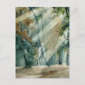 bos briefkaart (Voorkant)