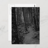 Bos Briefkaart (Voorkant / Achterkant)