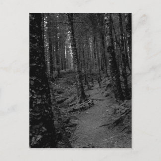 Bos Briefkaart