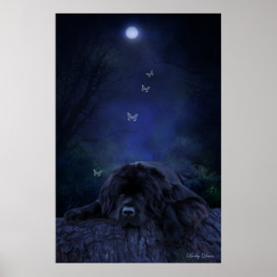 Bos Dromer Poster