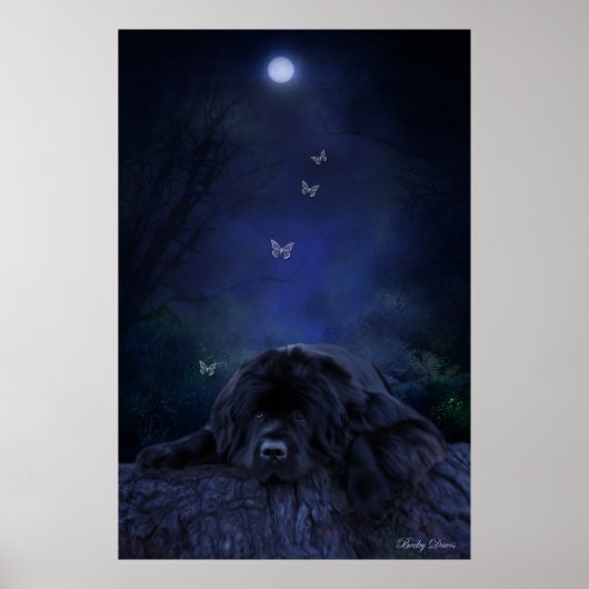 Bos Dromer Poster (Voorkant)