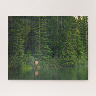 Bos Elk in het nationale park Alberta Banff Legpuzzel