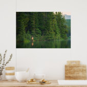 Bos | Elk in het nationale park Alberta Banff Poster (Keuken)