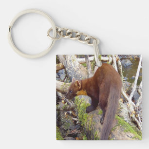 Bos Geschenken van Wilde Dieren uit het Bos van de Sleutelhanger