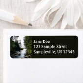 Bos in de buurt van Hunters Beach Etiket (Insitu)