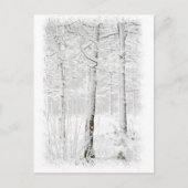 bos in de winter briefkaart (Voorkant)