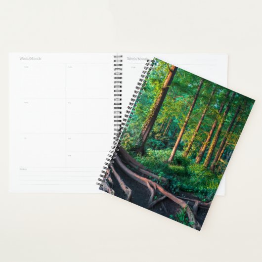 Bos in de zomer planner (Display)
