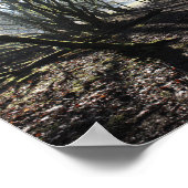 bos in het poster van de winterkunst (Hoek)