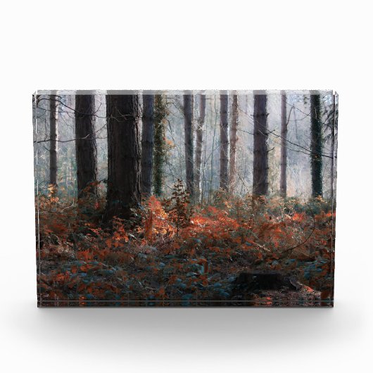 Bos magie fotoblokken (Voorkant)