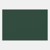 Bos massief donkergroen inpakpapier vel (Voorkant)