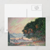 Bos nabij St. Tropez, 1902 Briefkaart (Voorkant / Achterkant)