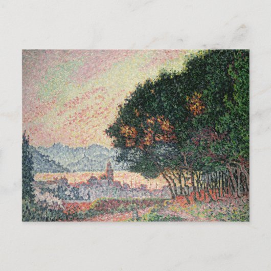 Bos nabij St. Tropez, 1902 Briefkaart (Voorkant)