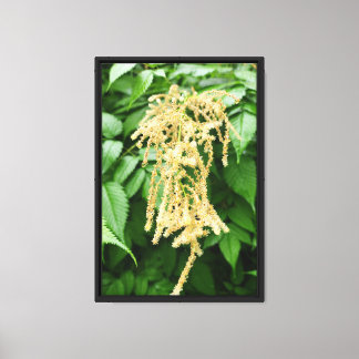 Bos Natuur Canvas Afdruk