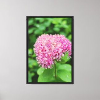 Bos Natuur Canvas Afdruk