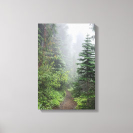 Bos Natuur Canvas Afdruk