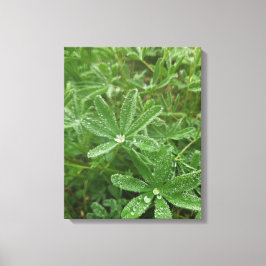 Bos Natuur Canvas Afdruk