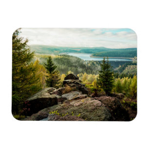 Bos Ore Mountains Duitsland Magneet