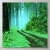 bos poster (Voorkant)